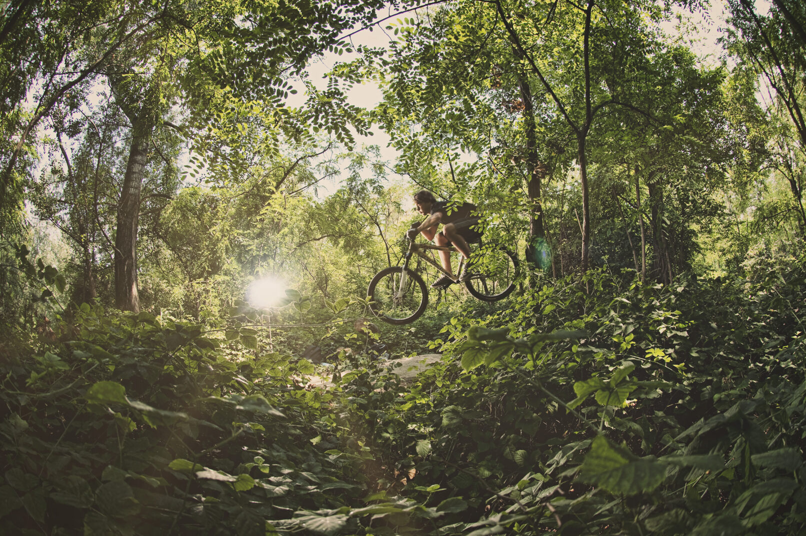 Lance 404 Mountain Biking