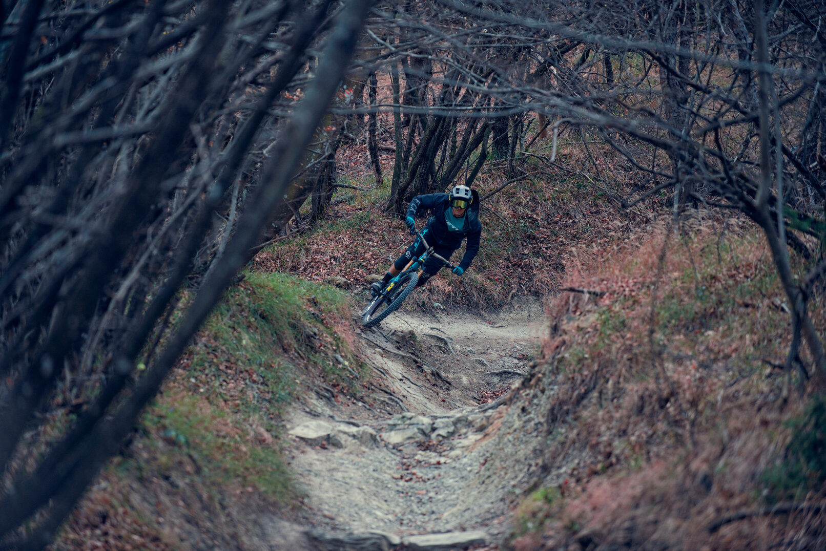 Lance 404 Mountain Biking